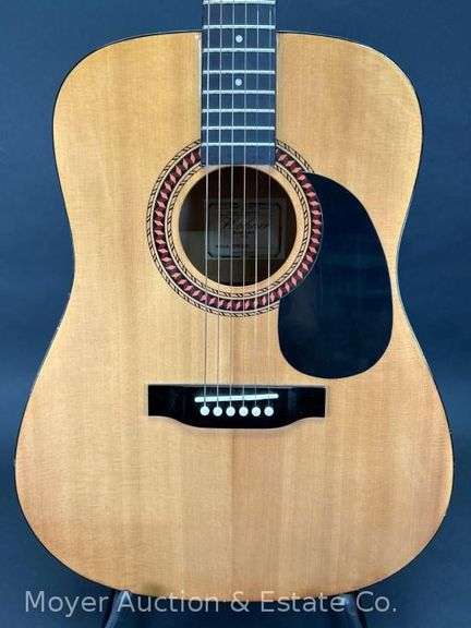 Hohner HW-220 Acoustic Guitar image