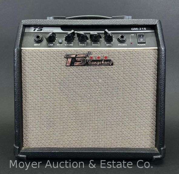 Tangsheng TS Amplifier, 11"x5"x11"h image