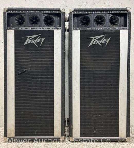 (2) Peavey T-300 Speaker Cabinets, 16"x11"x36"h image