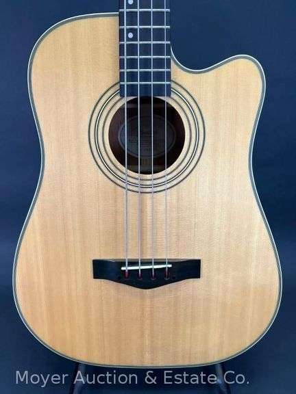 Fender BG29 Acoustic/Electric 4-String Bass Guitar, Appears Like New, with Leather Like Soft Case image