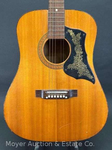 Kingston Acoustic Guitar, with Road Runner Soft Case image