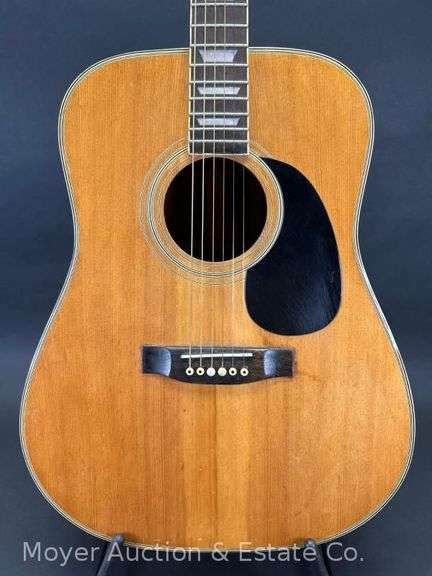 Fannin Acoustic Guitar, with Hard Case image