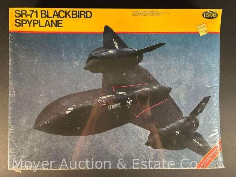 Testor SR-71 Blackbird Skyplane Plastic Model Kit, Sealed in Plastic, 1/48 Scale image