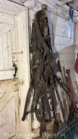 Group of Horse Tack image