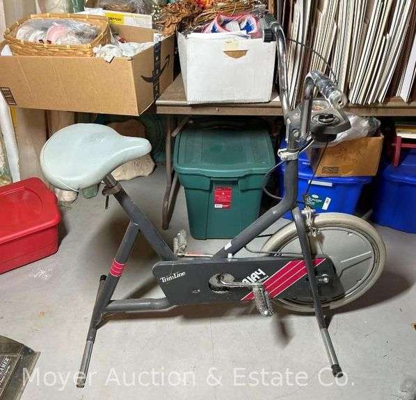 Ajay Trimline Exercise Bike image