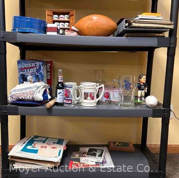 Contents of Shelf: Buffalo Bills Steins and Glasses, Newspapers, Josh's Jags, Etc. image