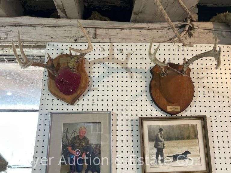 (5) Asst. Deer Antler Mounts image