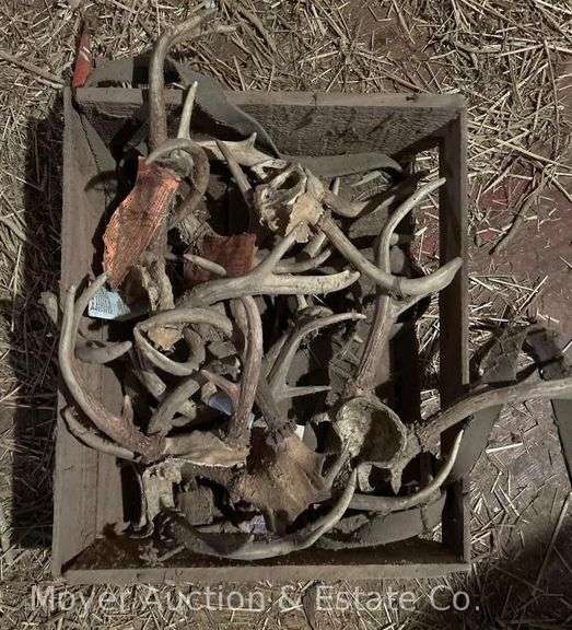 Group of Antlers image