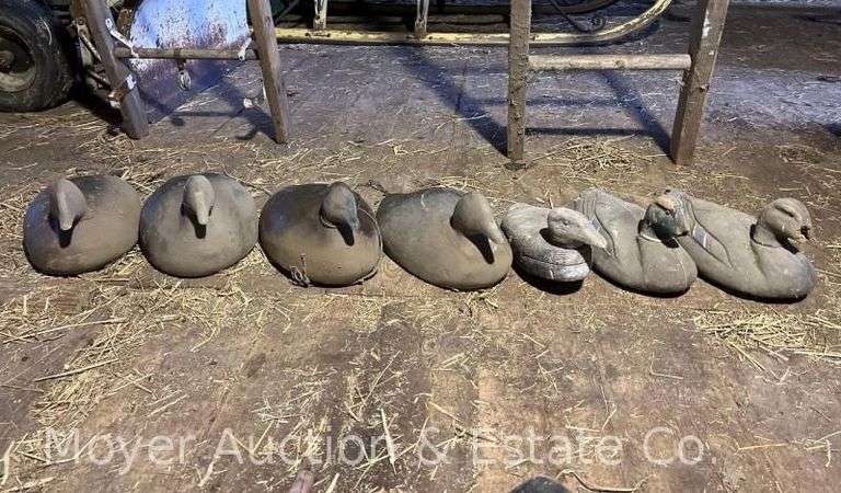 (4) Duck Decoys, Wood, Marked "A. Wallace" on Base, with 3 Composite Duck Decoys (rough condition) image