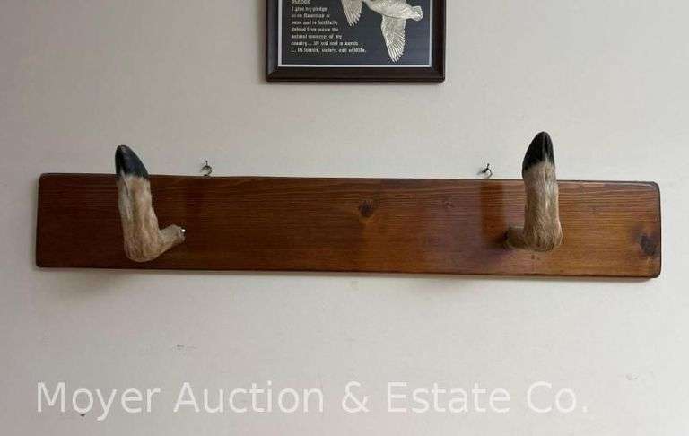 Deer Hoof Coat Rack, 35"w image