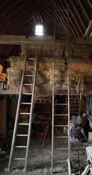 16 ft. Wood Barn Ladder image