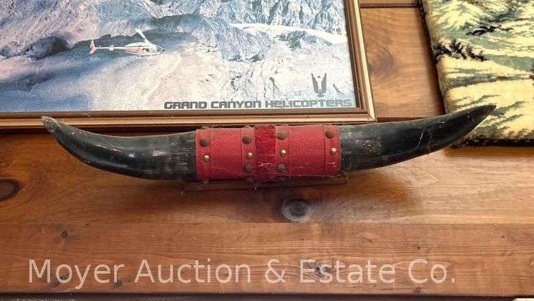 Mounted Bull Horns, 19"w image