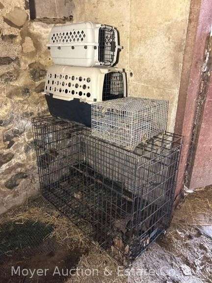 Group of Asst. Animal Crates with Small Havahart Trap image