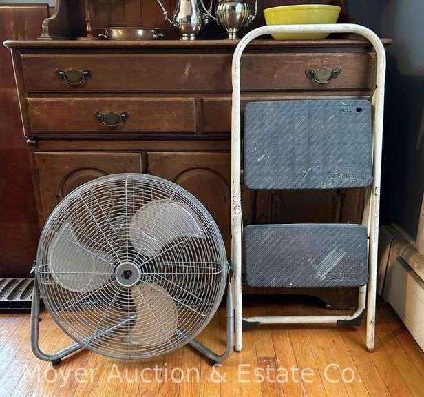 Fan and Safety 1st Step Stool image