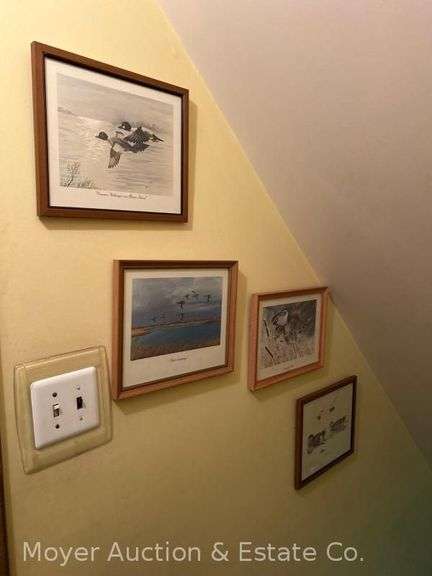 Group of Waterfowl Prints, 11"x13" image