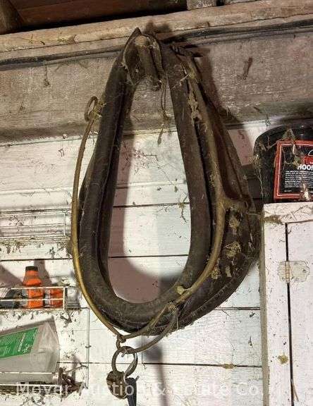 Horse Collar image