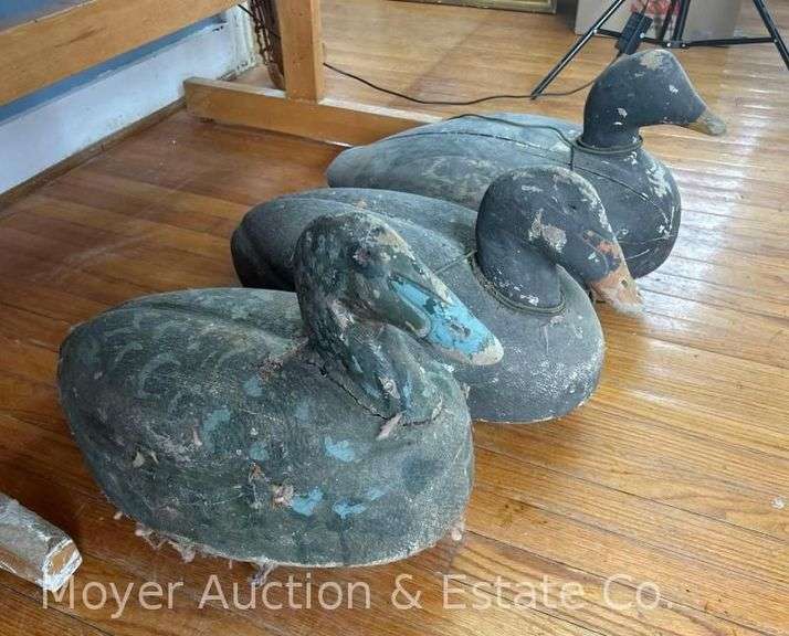 (3) Wood Duck Decoys, 21"-24" Long image