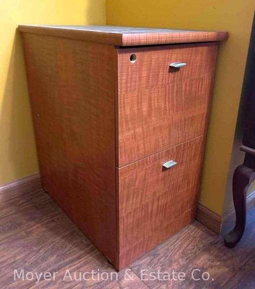 2 Drawer Filing Cabinet, Photo-finish,16"x25"x29"h image