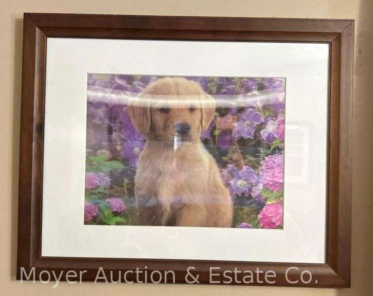 (2) Lenticular Prints, Framed, 16.5"x20.5" Overall image