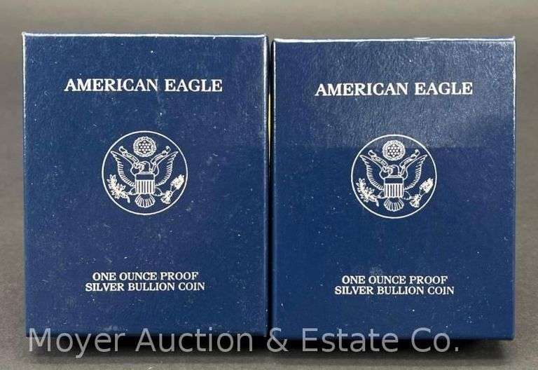 (2) 2004 American Eagle Proof Silver Dollars, with Original Boxes