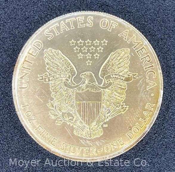 2002 American Eagle Silver Dollar
