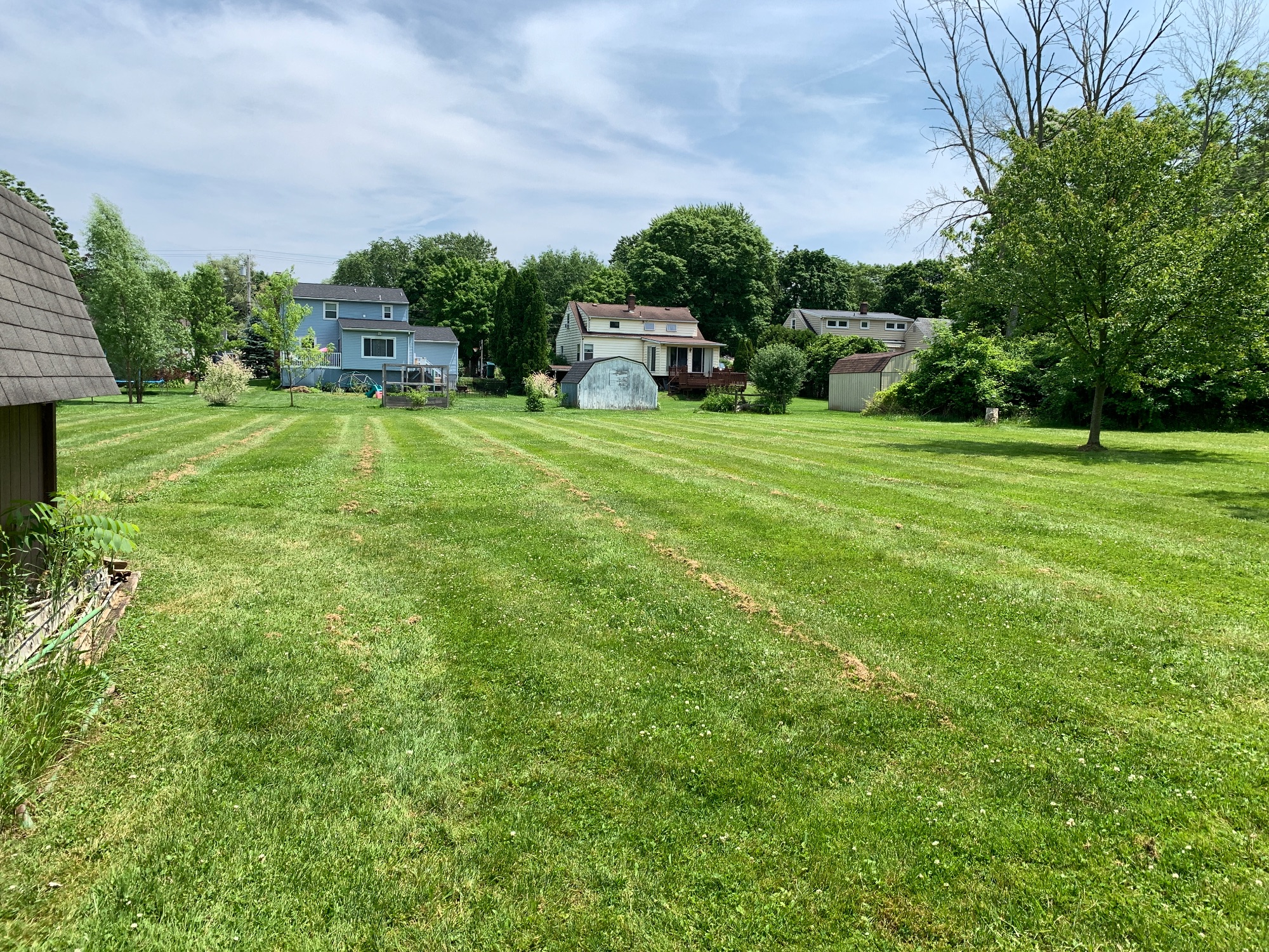 Lot image 5