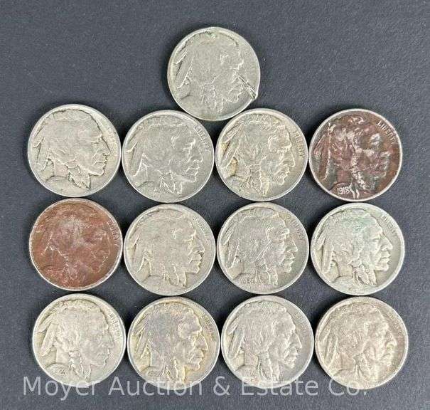 (13) Buffalo Nickels, Some No Dates image