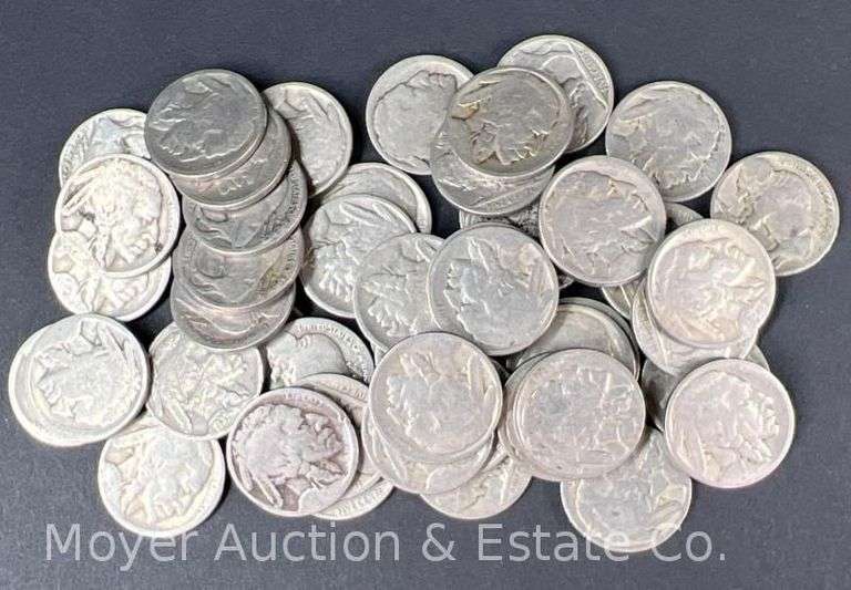 (50) Buffalo Nickels, No Dates image