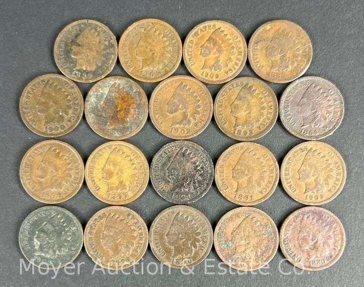 (19) Indian Head Cents image