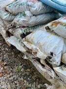 (25) Bags of Black Shack Coal Anthracite, Lump, 40lb Bags