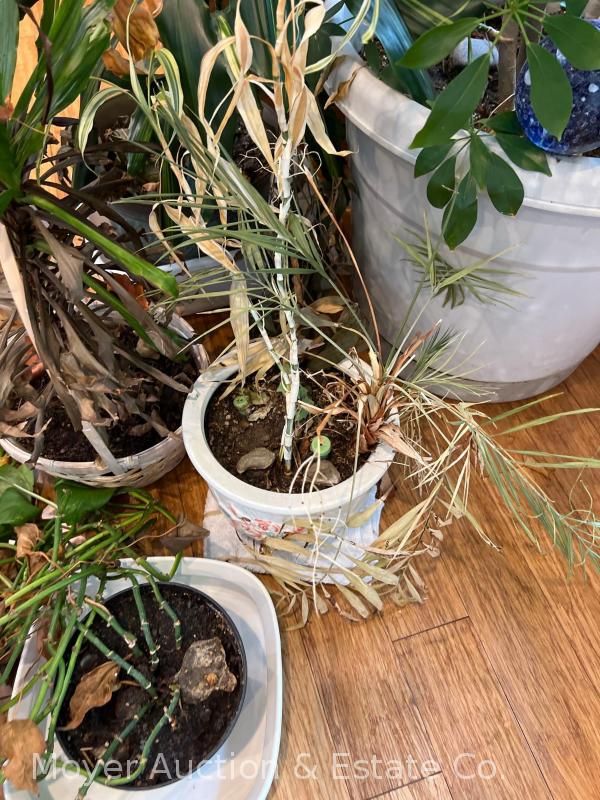 Lot image 7
