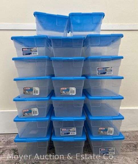 (20) Plastic Storage Shoeboxes image