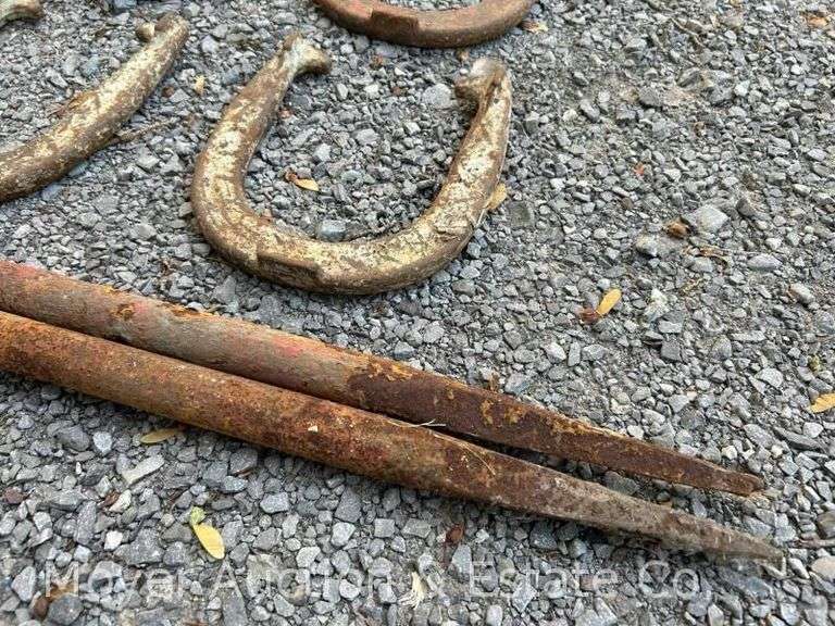 Horseshoe Set with 2 Stakes