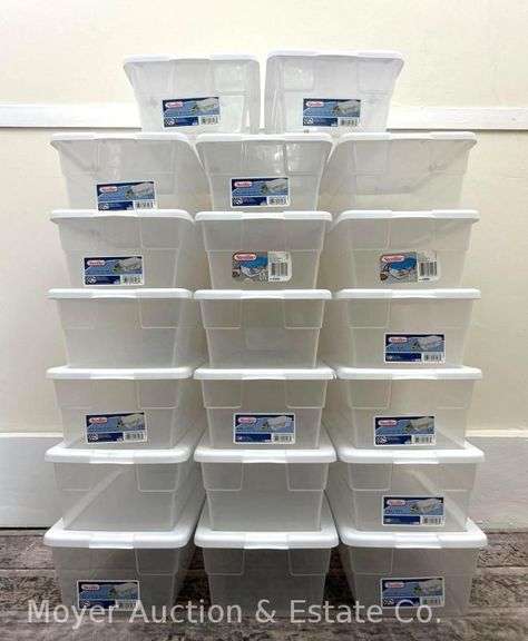 (20) Plastic Storage Shoeboxes image
