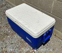 4 Picnic Coolers: Igloo 48, Igloo 'Picnic Basket', Igloo Polar 6, and Coleman Polylite 28 #5277