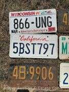 Group of Asst. License Plates