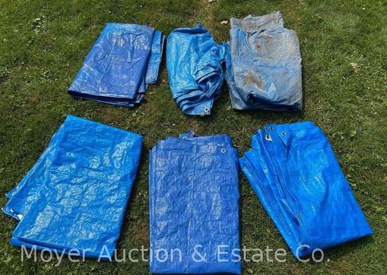 (6) Tarps image