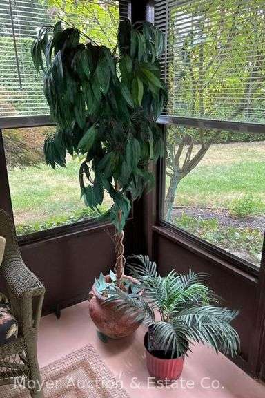 (2) Faux Potted Plants, 25" and 71"h image