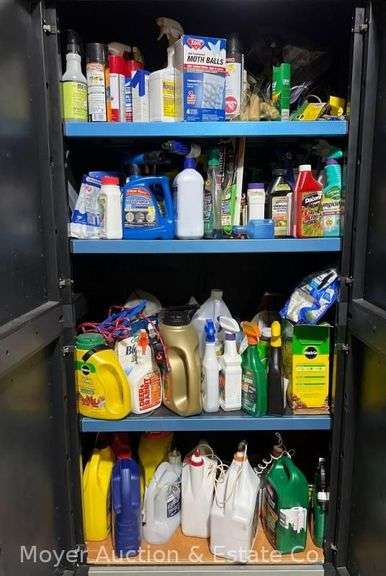 Contents of Storage Cabinet Lawn and Garden Chemicals, Spray Paint, Cleaners, Etc. image