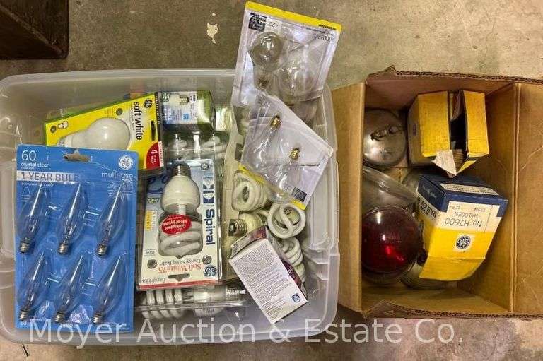 Group of Asst. Light Bulbs image