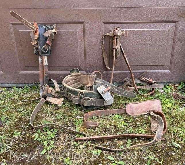 Buckingham Climbing Spikes image