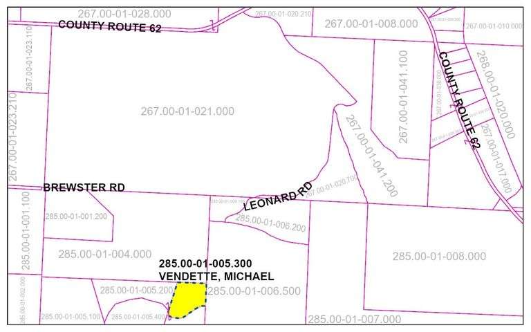 Leonard Road, Greenwood NY  285.00-01-005.300 image