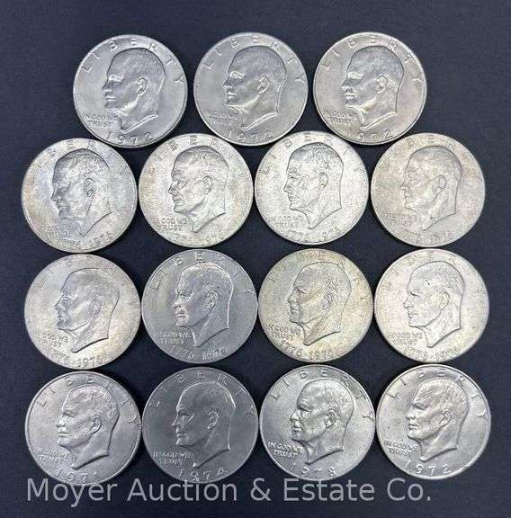 (15) Eisenhower Dollars image