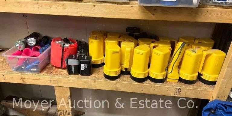 Group of Flashlights image