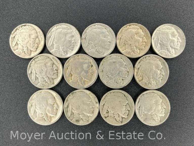 (13) Buffalo Nickels, (6) No Dates image