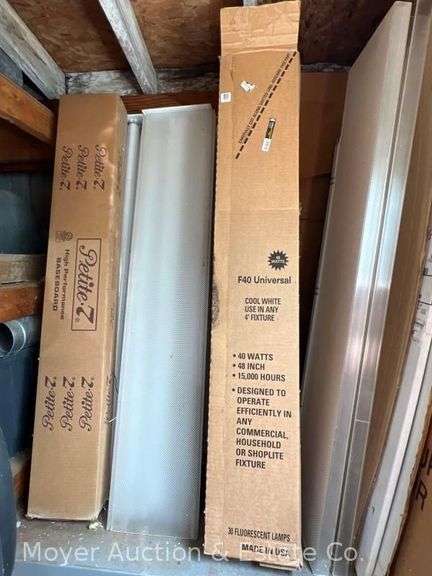 Group of Lightbulbs and Fixtures image