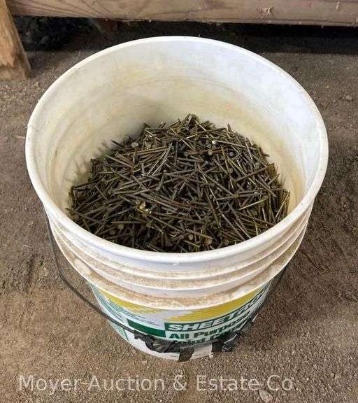 Bucket of Nails image