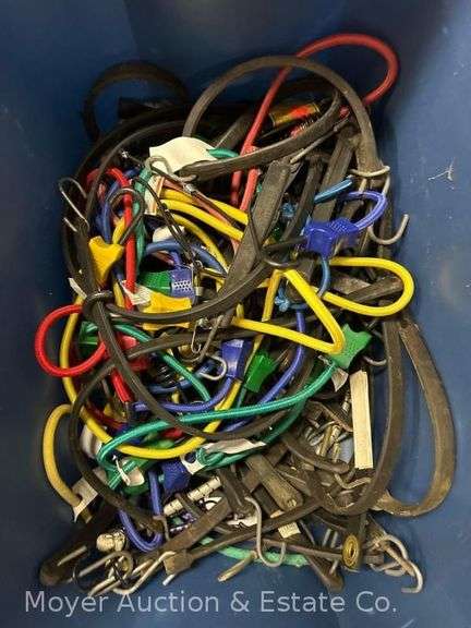 Group of Bungee Cords image