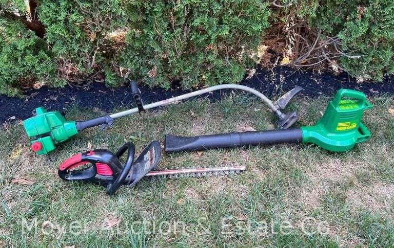 Gas Weed Whacker with Electric Leaf Blower and Hedge Trimmer image