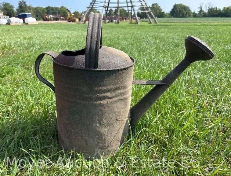 Metal Watering Can image